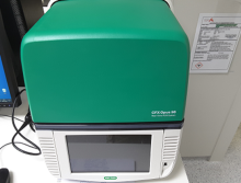 Termocyklér CFX Opus 96